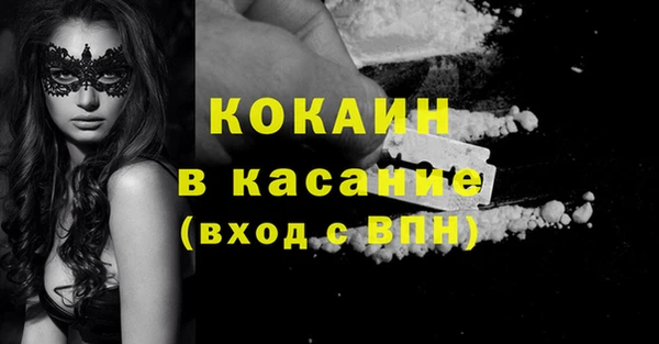 прущие грибы Армянск