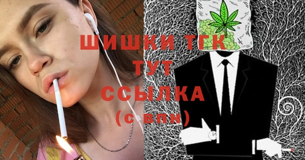 ГАЛЛЮЦИНОГЕННЫЕ ГРИБЫ Аркадак