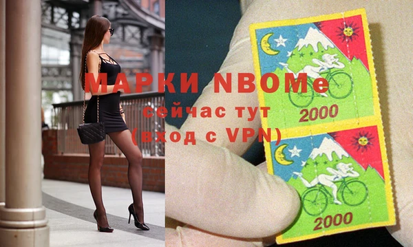 ГАЛЛЮЦИНОГЕННЫЕ ГРИБЫ Аркадак