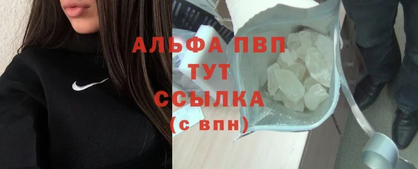 прущие грибы Армянск