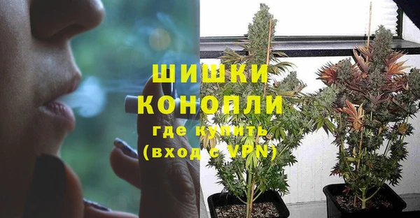 ГАЛЛЮЦИНОГЕННЫЕ ГРИБЫ Аркадак