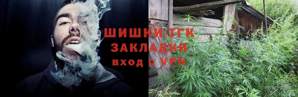 прущие грибы Армянск